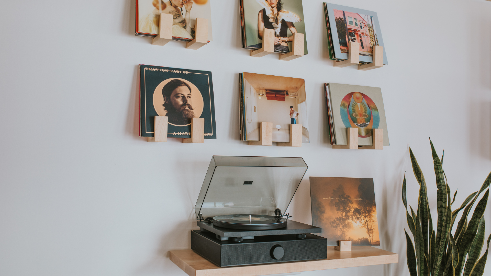 A wall displaying 6 record holders above a black Andover SpinDeck turntable and SpinBase speaker system sitting on a floating record table next to a snake plant